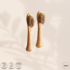 Brush Heads (x1)