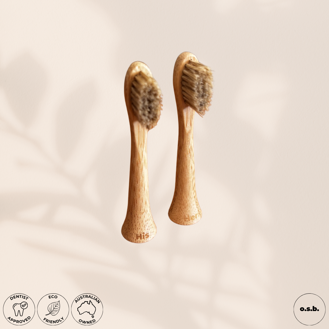 Brush Heads (x1)